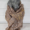 Beige scarf med guld och silver