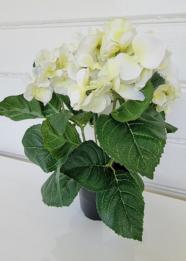 konstgjord-liten-vit-hortensia-1
