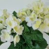 konstgjord-liten-vit-hortensia-2
