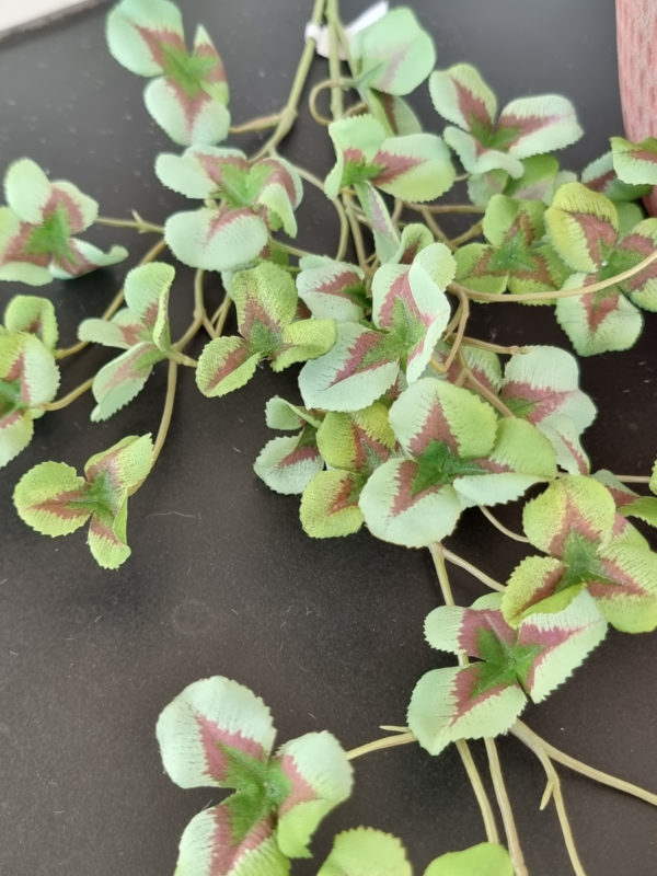konstgjord-oxalis-gron-kvist-2