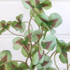 konstgjord-oxalis-gron-kvist-3