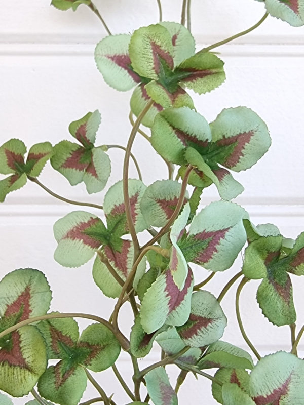 konstgjord-oxalis-gron-kvist-3