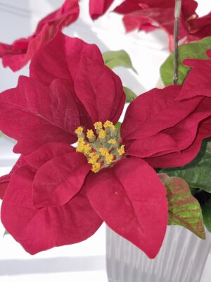 Röd konstgjord julstjärna i innerkruka. Besök blickfång.se