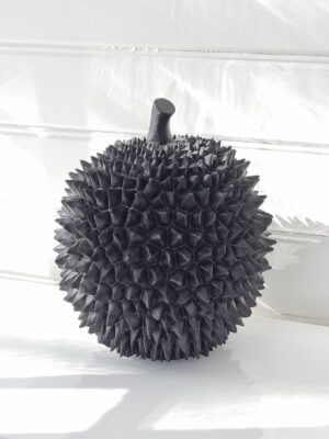 Durian stor svart frukt för dekoration. Besök blickfång.se