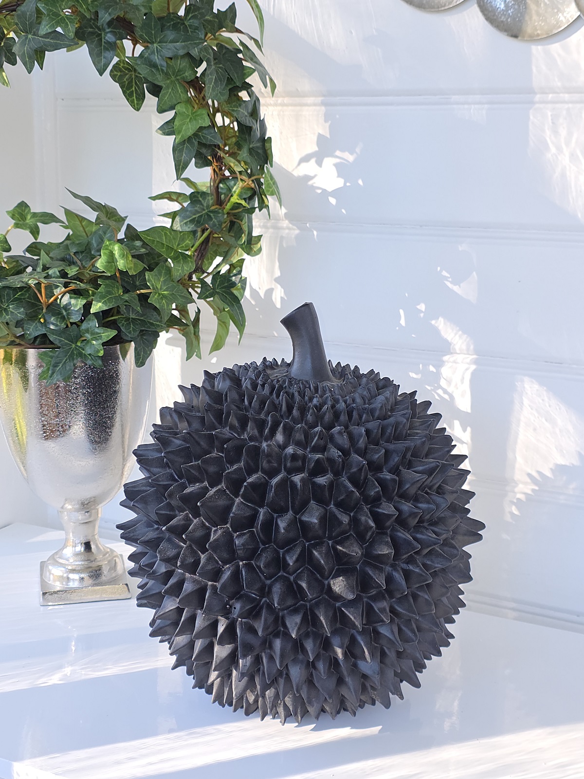 Durian-stor-svart-frukt-for-dekoration-6