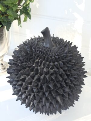 Durian stor svart frukt för dekoration. Besök blickfång.se