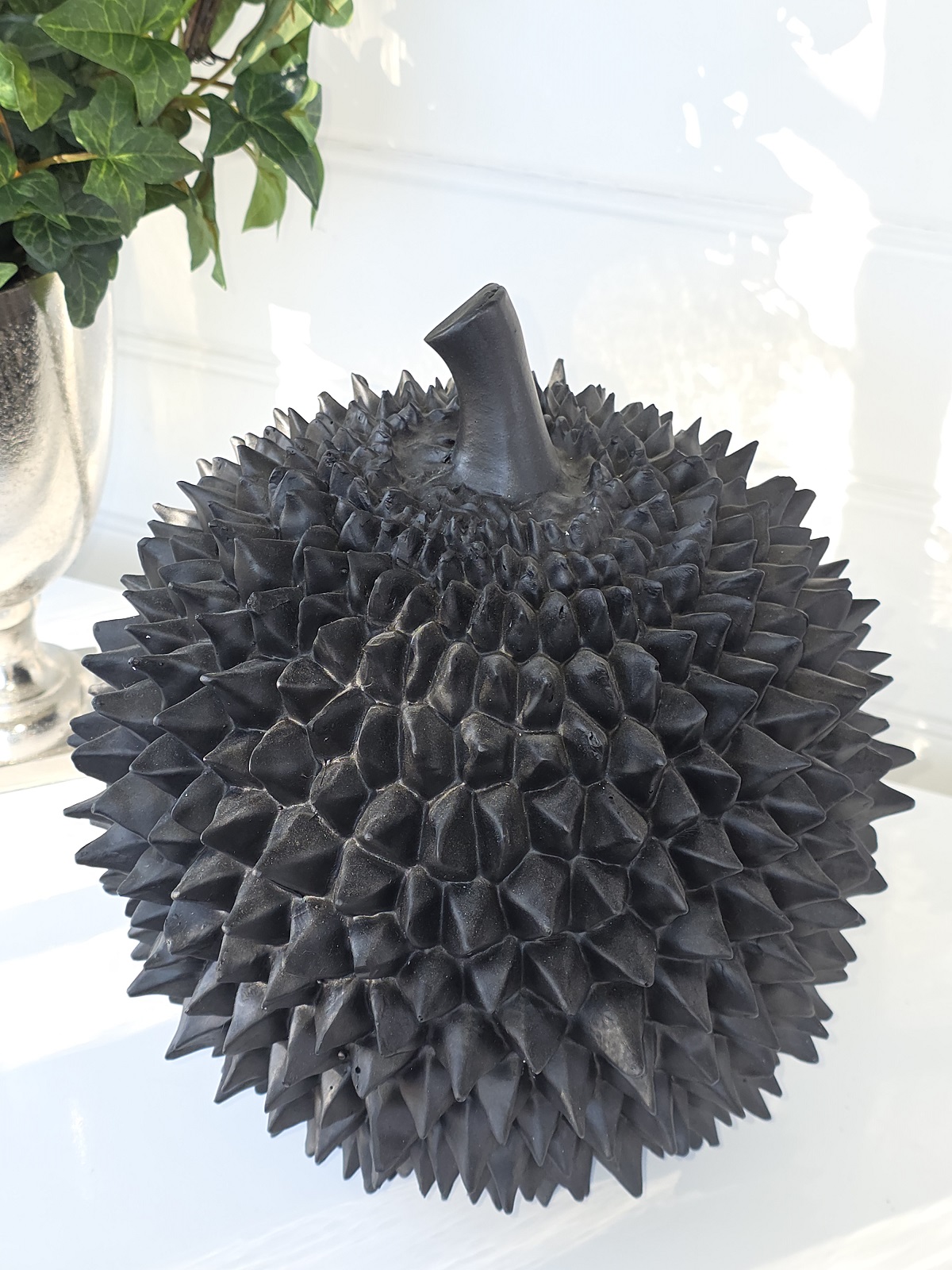 Durian-stor-svart-frukt-for-dekoration-7