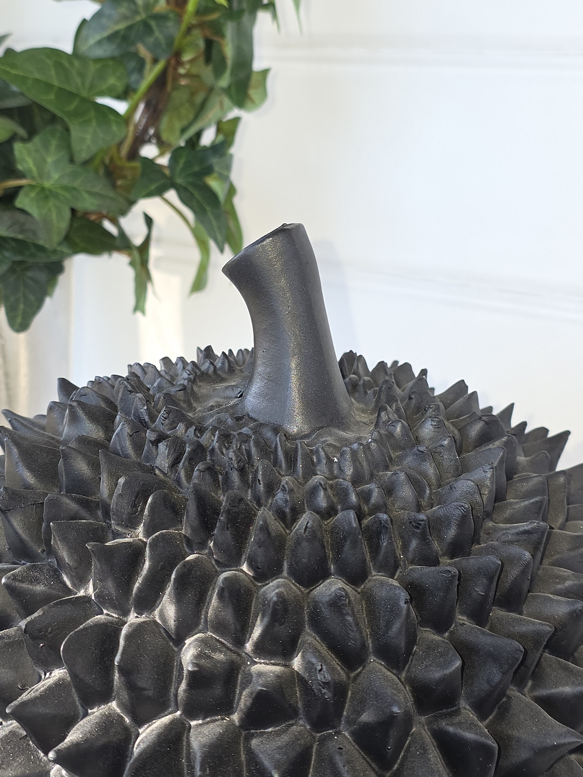 Durian-stor-svart-frukt-for-dekoration-8