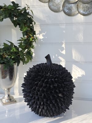 Durian stor svart frukt för dekoration. Besök blickfång.se