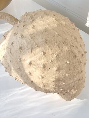 Dekoration frukt med taggar Guyabano. Besök Blickfång.se