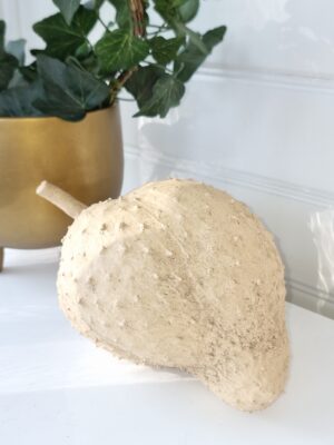 Dekoration frukt med taggar Guyabano. Besök blickfång.se