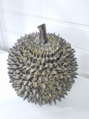 Durian stor taggig dekoration. Besök blickfång.se