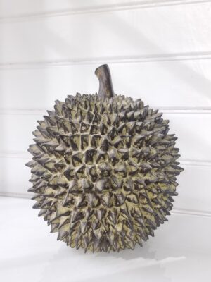 Durian stor taggig dekoration. Besök blickfång.se